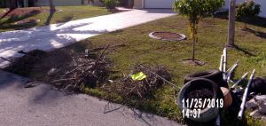 Noncompliant Horticultural Waste 1